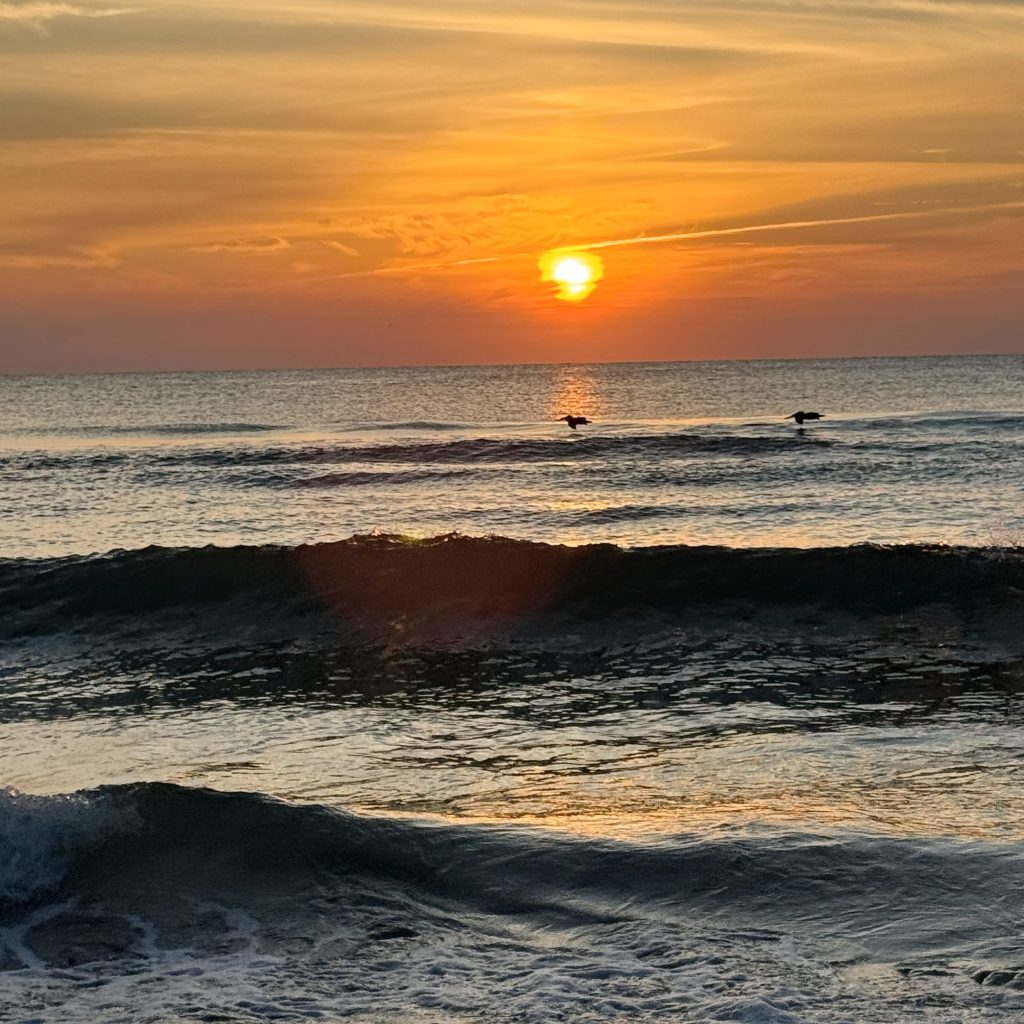 A Breath of Fresh&nbsp;Air