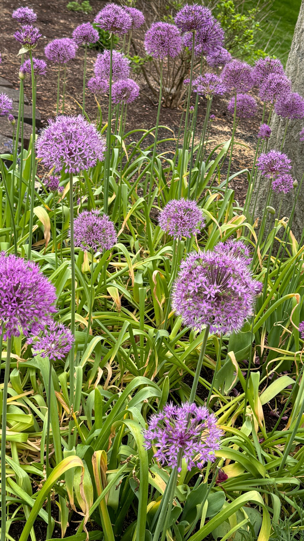 The Tricky World of&nbsp;Inspiration